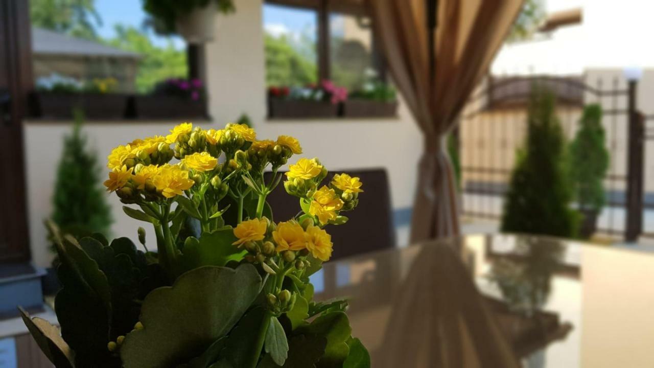 Smart Home Lux Iasi Exteriér fotografie